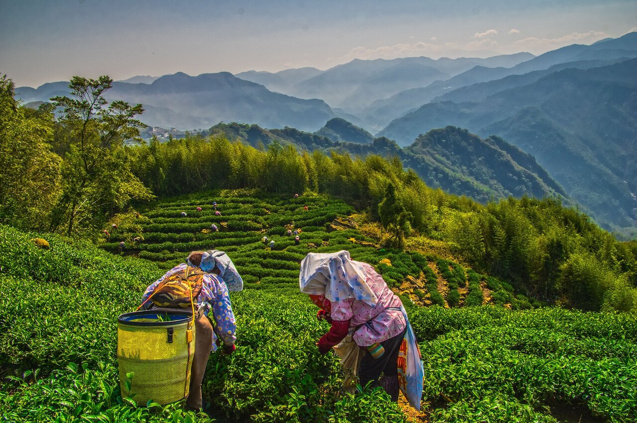 Reiseangebot: Gay Pride 2026 – Taiwans Höhepunkte Image 8